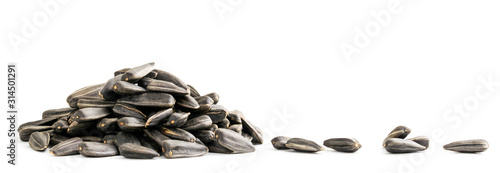 Pile of sunflower seeds and scattered close-up on a white background. Isolated