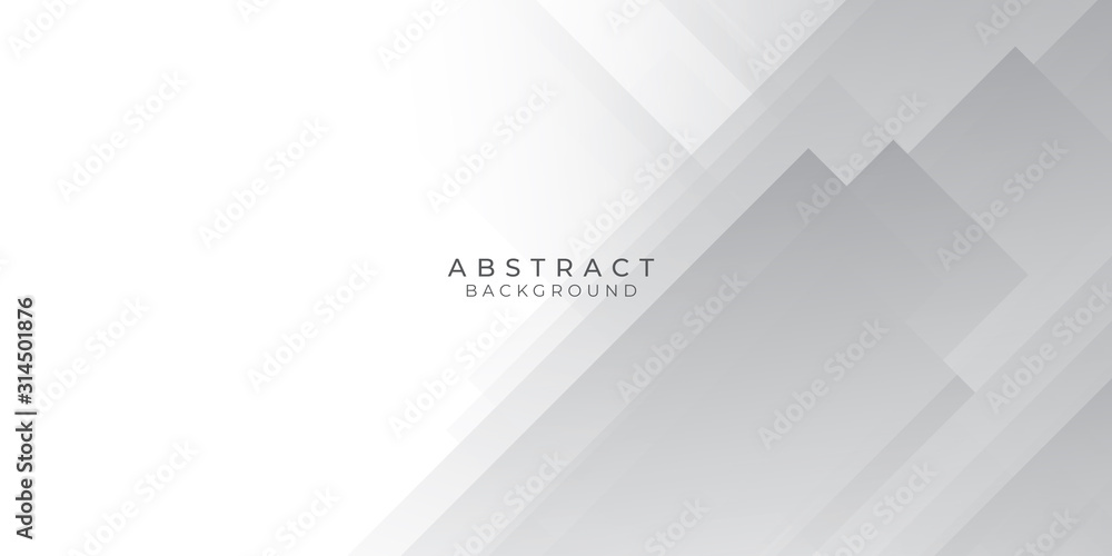 Obraz premium White Grey Silver Box Rectangle Abstract Background Vector Presentation Design