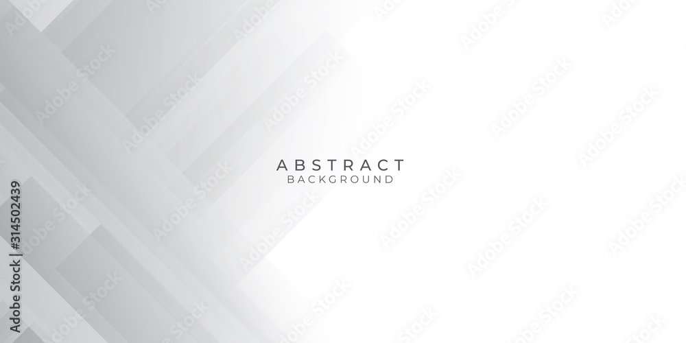 Obraz premium White Grey Silver Box Rectangle Abstract Background Vector Presentation Design