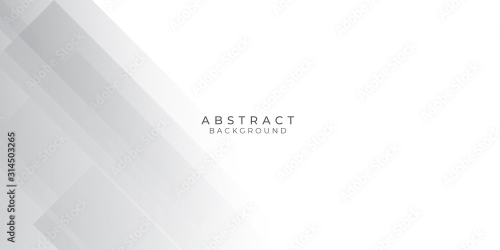 White Grey Silver Box Rectangle Abstract Background Vector Presentation Design White Grey Silver Box Rectangle Abstract Background Vector Presentation Design