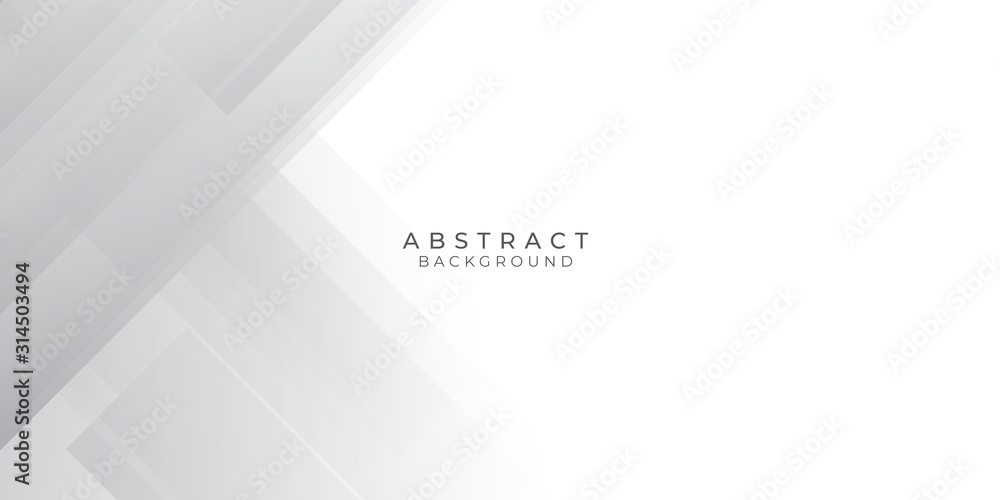 White Grey Silver Box Rectangle Abstract Background Vector Presentation Design