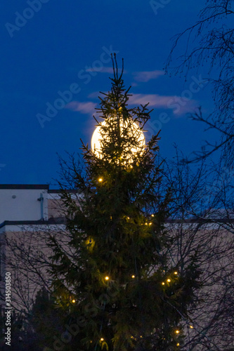 Christmas tree over the full moon