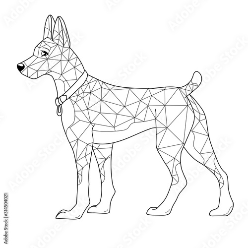 Fototapeta Polygonal dog