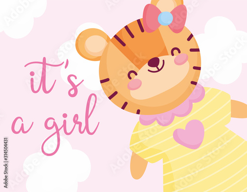 boy or girl, gender reveal its a girl cyte tiger with dress and bow