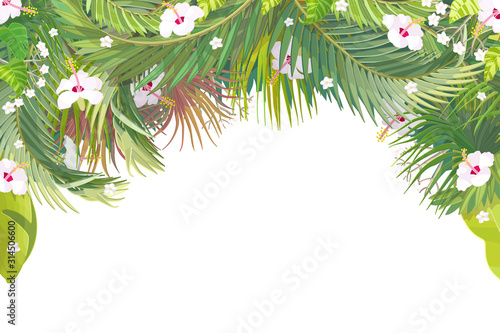 vector cartoon border background