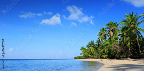 Green palm trees on caribbean beach. Travel background.