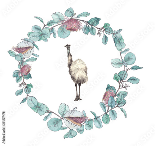 Photography Watercolor illustration animal of Australia, Emu and wreath of eucalyptus