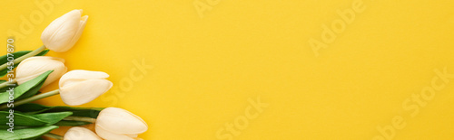 top view of spring tulips on colorful yellow background, panoramic shot #314507870