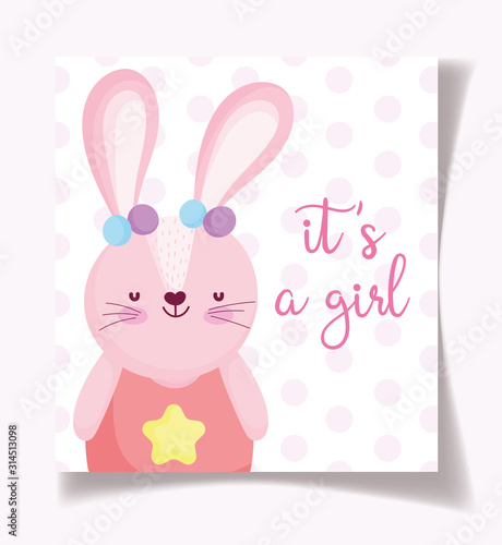 boy or girl, gender reveal its a girl rabbit with dress dotted background card