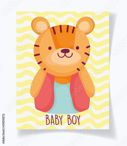 boy or girl, gender reveal its a boy cute tiger card