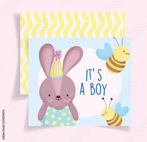 boy or girl, gender reveal its a boy cute rabbit bees greeting card