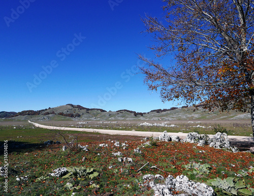 immagine rilassante di un altopiano in una limpida giornata photo