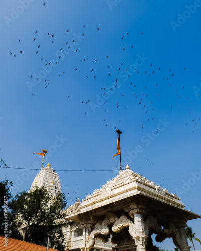 Group of Peigon flying on temple  photo