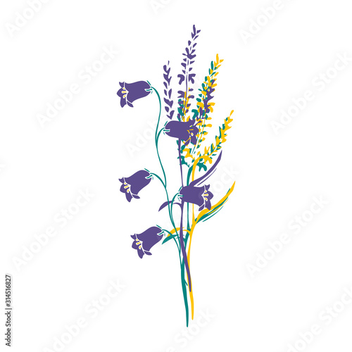 A nice bouquet of Campanula or bellflower and meadow grass. Hand drawn vector illustration of decorative wildflowers isolated on white background.