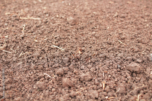 Loose dry soil in the garden. Close-up. Top view. Background. Texture.