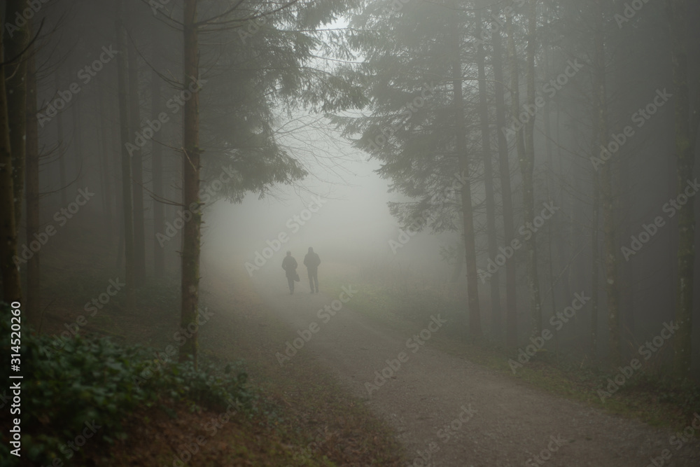 Obraz premium Anonymous couple walking through a misty forest