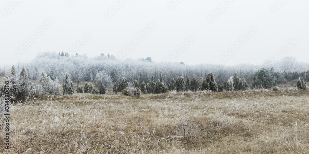 Landscape of frosted field and woods in winter time Landscape of frosted field and woods in winter time