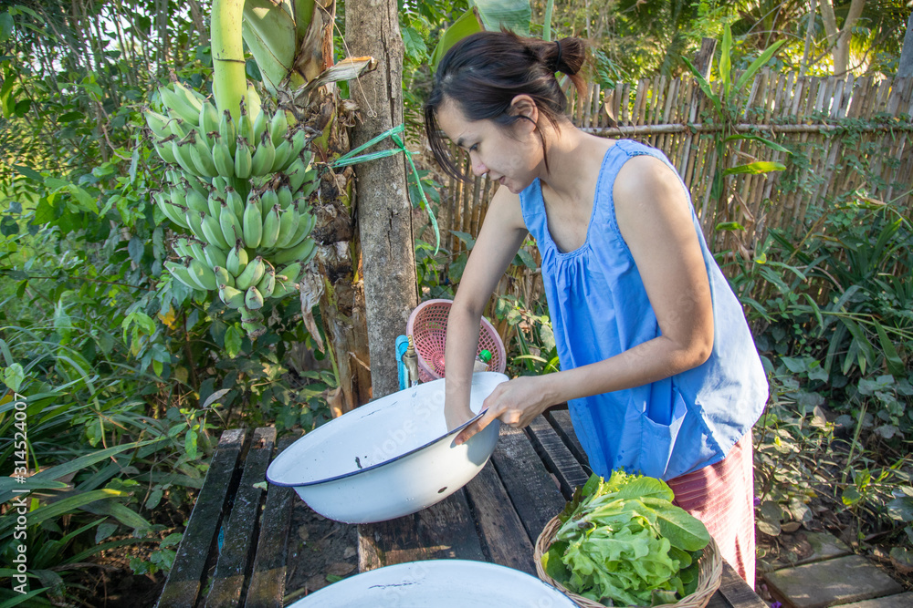 Obraz premium Asian wife is preparing food for the family starting from washing vegetables that are grown by natural methods without using chemicals.