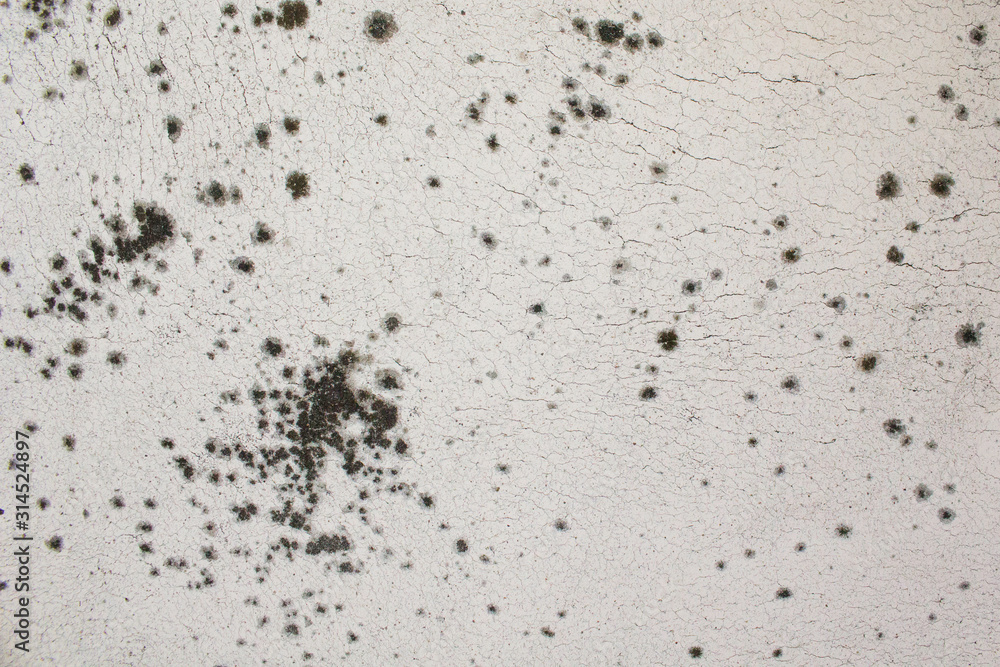 Dot shaped dirt on white cracked concrete surface Dot shaped dirt on white cracked concrete surface