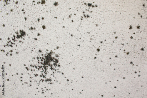 Dot shaped dirt on white cracked concrete surface 