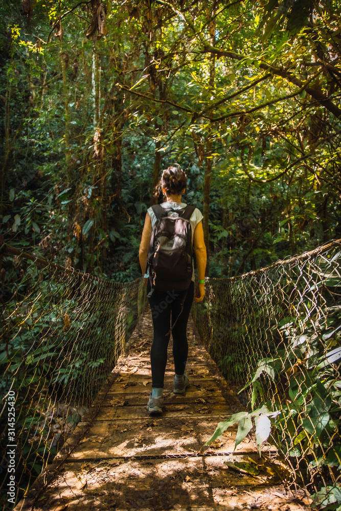 Walking on the wooden bridge in the Cerro Azul Meambar National Park (Panacam) on Lake Yojoa. Honduras Walking on the wooden bridge in the Cerro Azul Meambar National Park (Panacam) on Lake Yojoa. Honduras