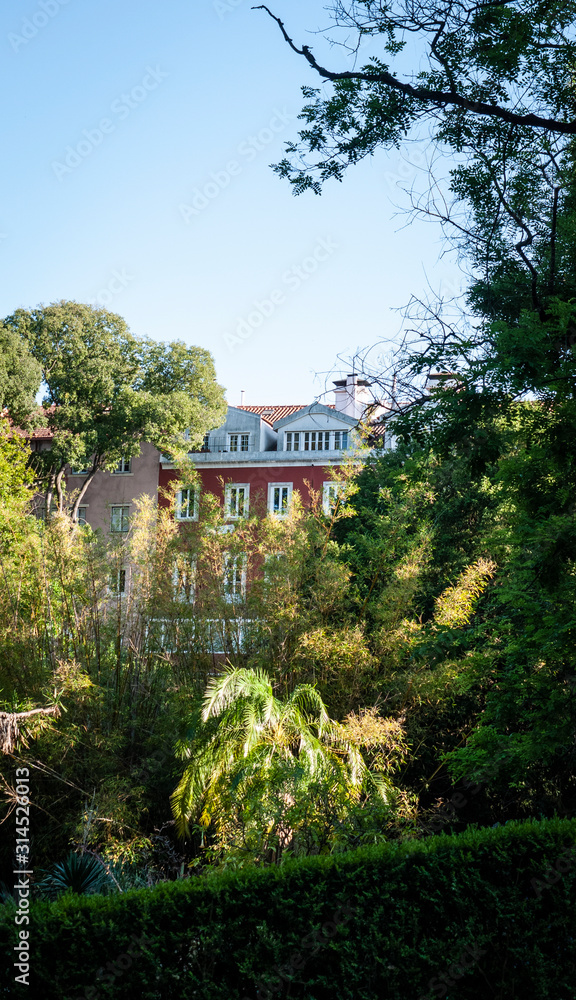 View of traditional Portuguese apartments from a green garden. Taken in Lisbon in summer.