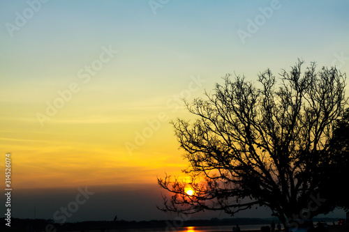 solitary  tree in golden sunset © kowitstockphoto