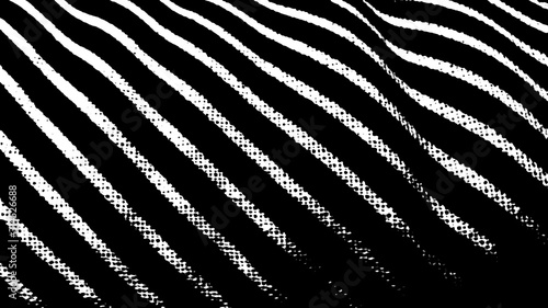 abstract background with lines, zebra stripes