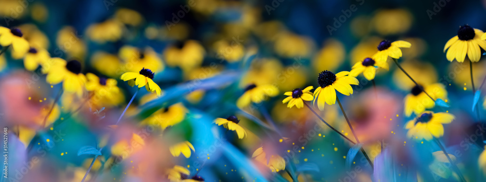 Small yellow bright summer flowers on a background of blue and green foliage in a fairy garden. Macro artistic image. Banner format. Small yellow bright summer flowers on a background of blue and green foliage in a fairy garden. Macro artistic image. Banner format.