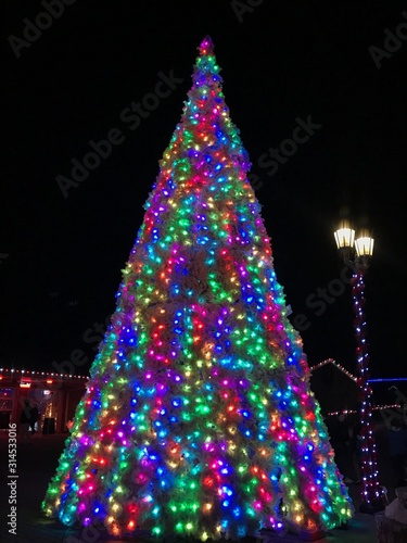 Outdoor Large Christmas Tree In Pastel Lights