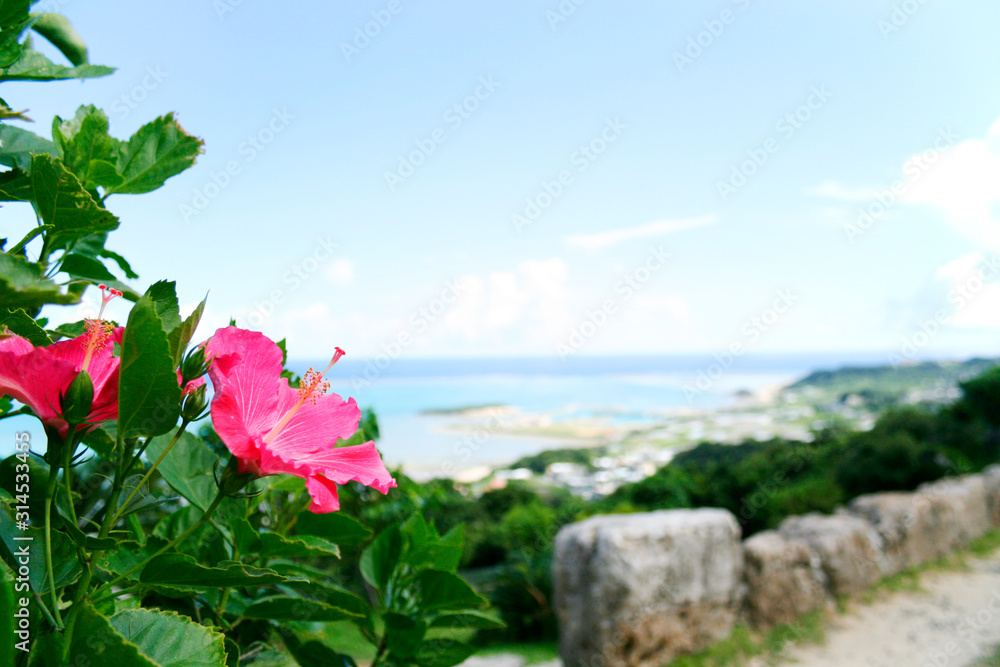 南の島のハイビスカスと青い空と海 沖縄