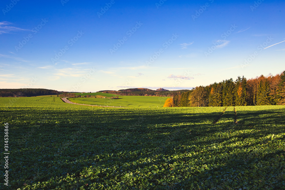 Fields in the autumn sun