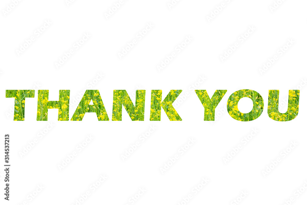 The word Thank you from yellow-green flowers on a white isolated background The word Thank you from yellow-green flowers on a white isolated background