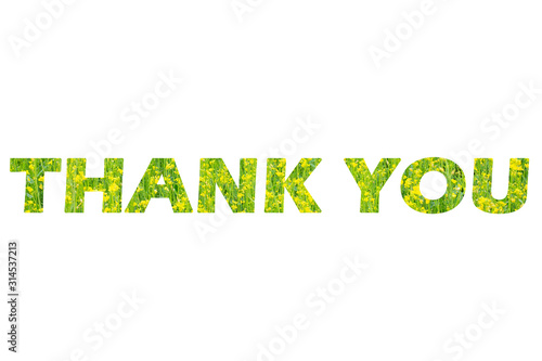 The word Thank you from yellow-green flowers on a white isolated background