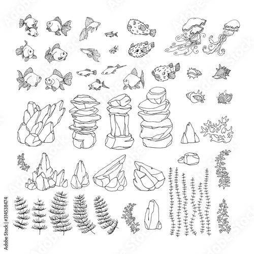 set of decorative aquarium elements, goldfish, shell, rock, puffer, neon, jellyfish, algae, vector illustration with black contour lines isolated on white background in Doodle and hand drawn style