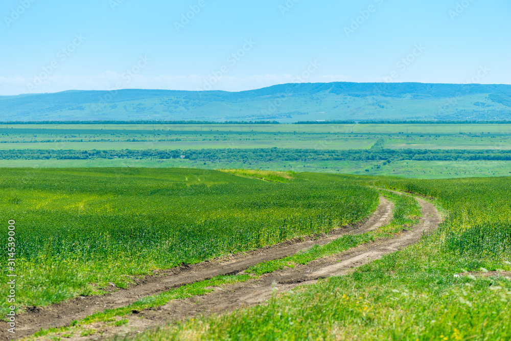 dirt road in a green field, beautiful landscape with mountain views