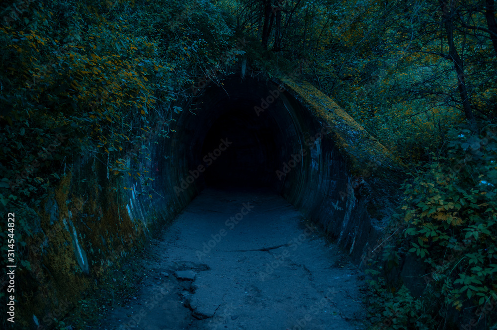 Tunel w lesie