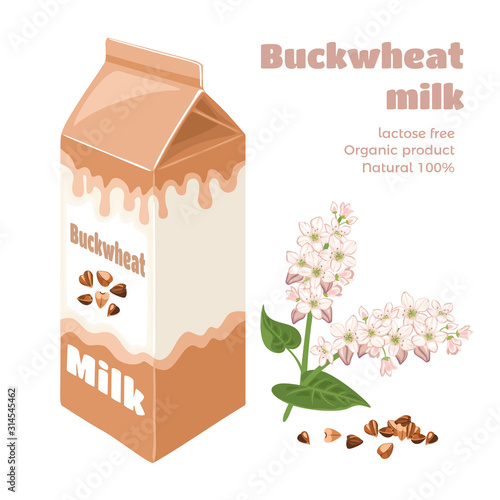 Buckwheat milk in carton box isolated on white background. Vector illustration of plant-based drink, buckwheat flower branch and grains in cartoon flat style. Organic Dairy Free Vegan beverage.