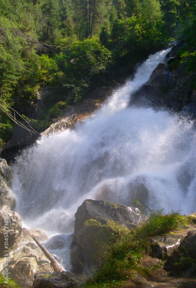Rauschender Wasserfall mit Gestein in den Wäldern