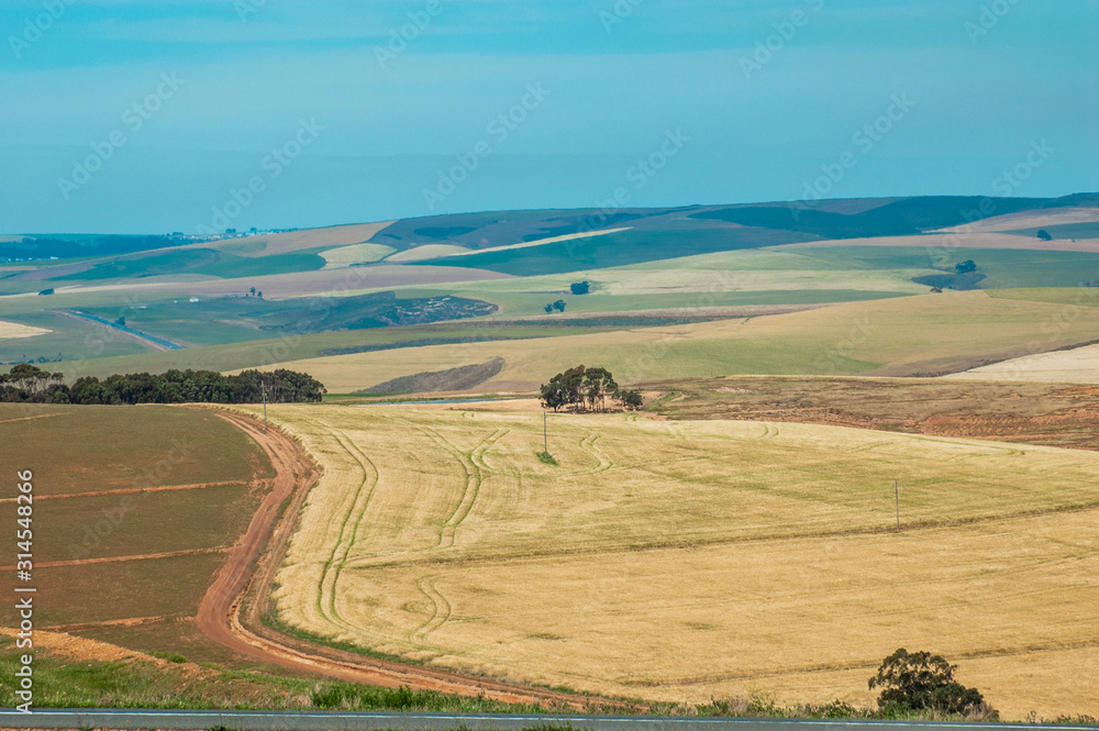Fototapeta premium landscape with fields and blue sky