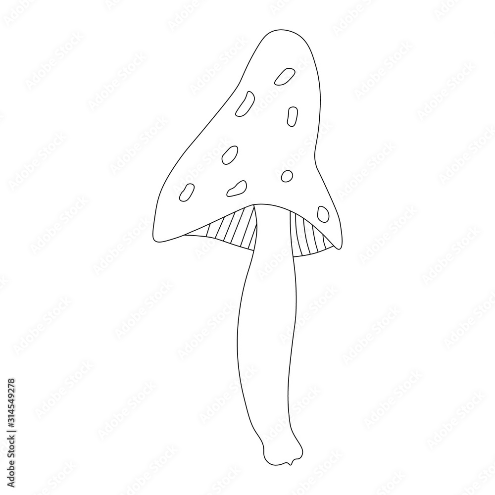 Mushroom fly agaric contour drawing. Black and white image. Doodles. Forest of poisonous mushrooms. Children's coloring book. Outline. Hand drawing. Vector