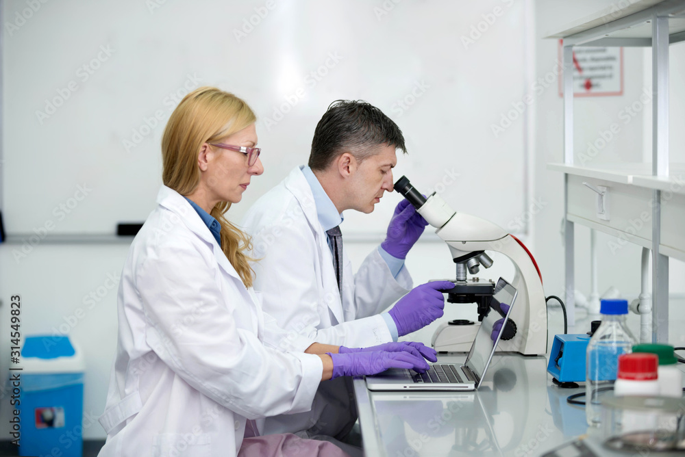 Laboratory scientists researching chemical compositions Laboratory scientists researching chemical compositions