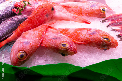 Frozen red fish lies on ice on a market stall. Organic Healthy Local Food