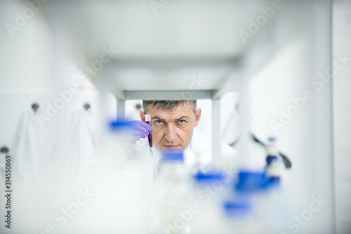 Laboratory scientist researching chemical compositions