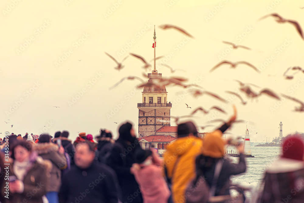 Istanbul, People feed Seagulls in front of Maiden's Tower or Kiz Kulesi in Turkey Istanbul, People feed Seagulls in front of Maiden's Tower or Kiz Kulesi in Turkey