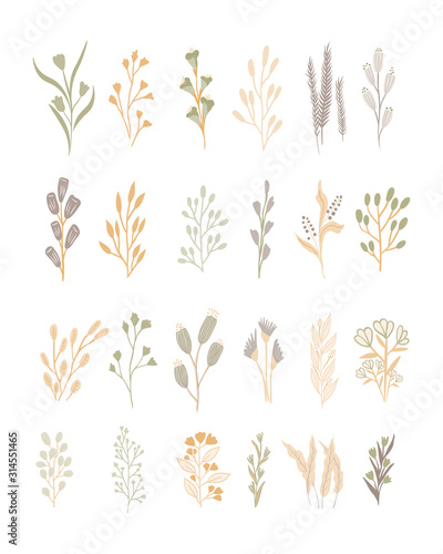 collection of abstract hand drawn floral elements