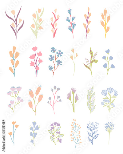 set of vector floral elements