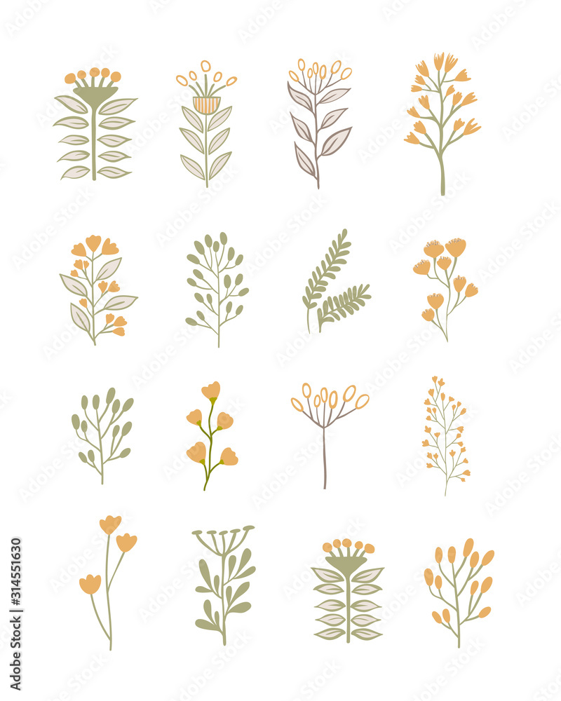 set of flowers set of flowers