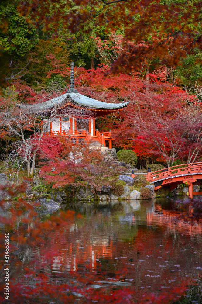 Naklejka premium Daigo-ji temple with colorful maple in autumn, Kyoto, Japan
