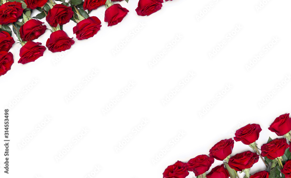 Frame of flowers red roses with leaves on a white background with space for text. Top view, flat lay Frame of flowers red roses with leaves on a white background with space for text. Top view, flat lay